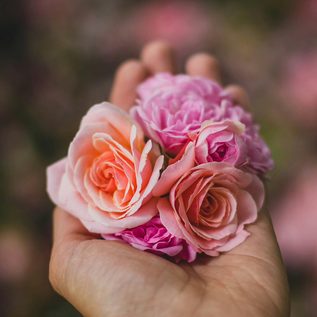 Understand Language Of Flowers: What Your Bouquet is Really Saying