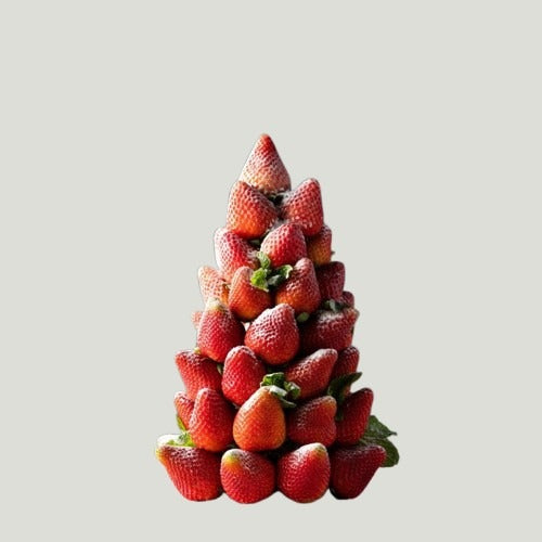 BERRY CHRISTMAS TREE