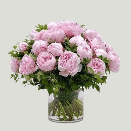 PINK PEONIES IN A VASE