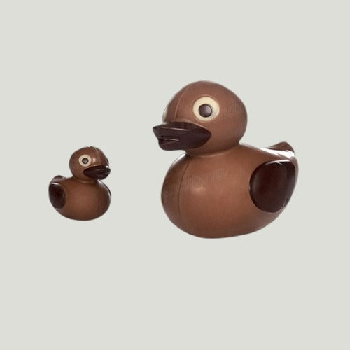 البطة والبطة الصغيرة
