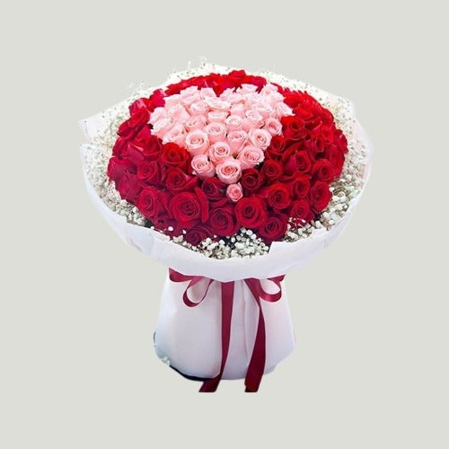 LUXURY RED AND PINK