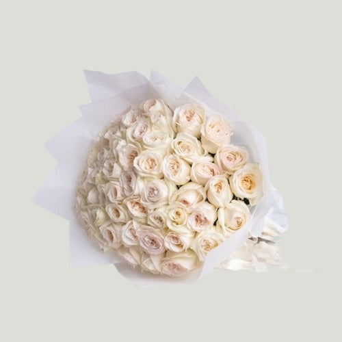 WHITE ELEGANCE