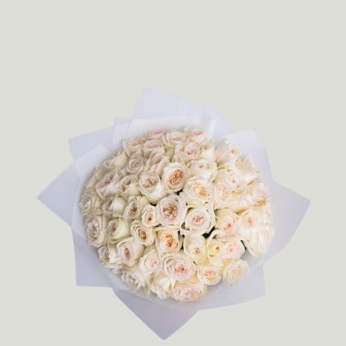 WHITE ELEGANCE