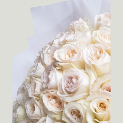 WHITE ELEGANCE