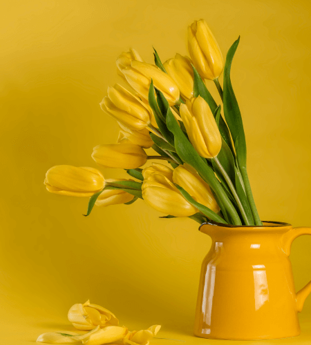Beautifully arranged tulips in a decorative vase