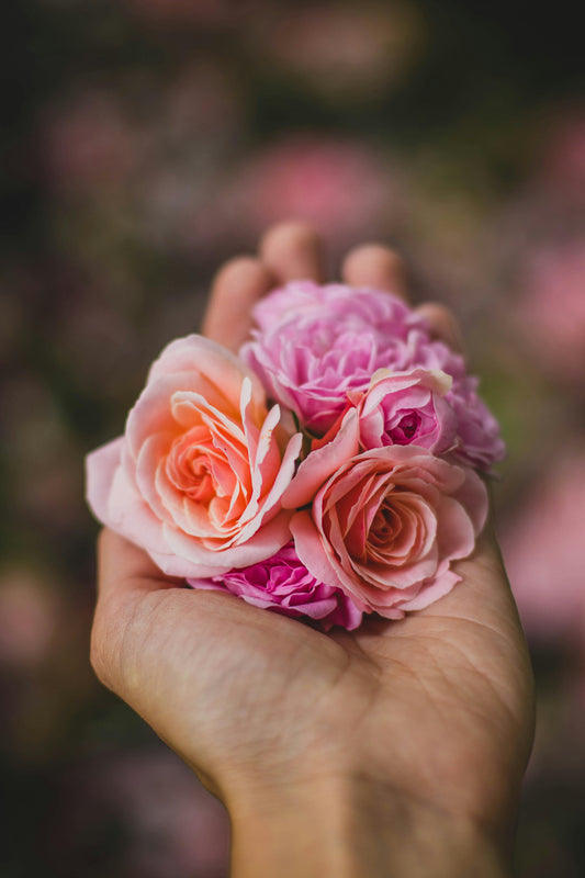 Understand Language Of Flowers: What Your Bouquet is Really Saying