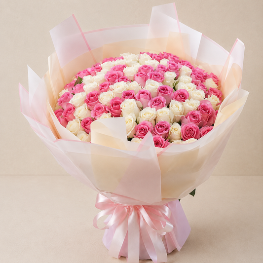 100 WHITE AND PINK ROSE