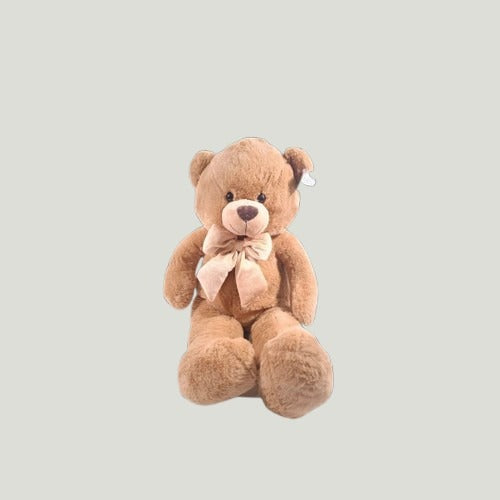 BIG TEDDY 45CM