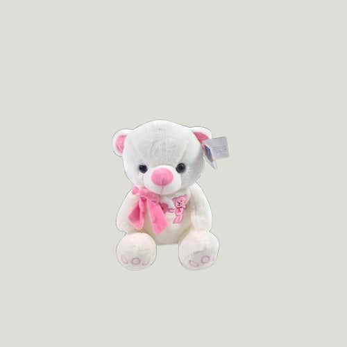 WHITE AND PINK TEDDY