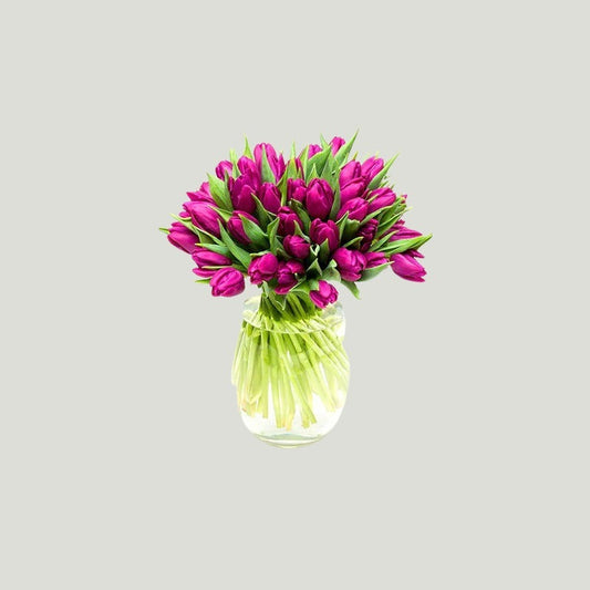 PURPLE TULIPS IN VASE