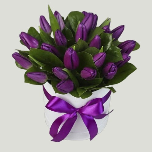 PURPLE TULIP IN A BOX