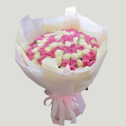 HUNDRED WHITE AND PINK ROSE