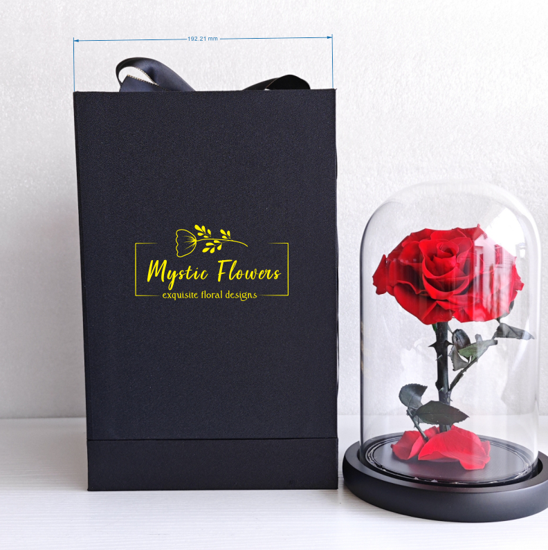 RED FOREVER ROSES WITH LED 12x20cm