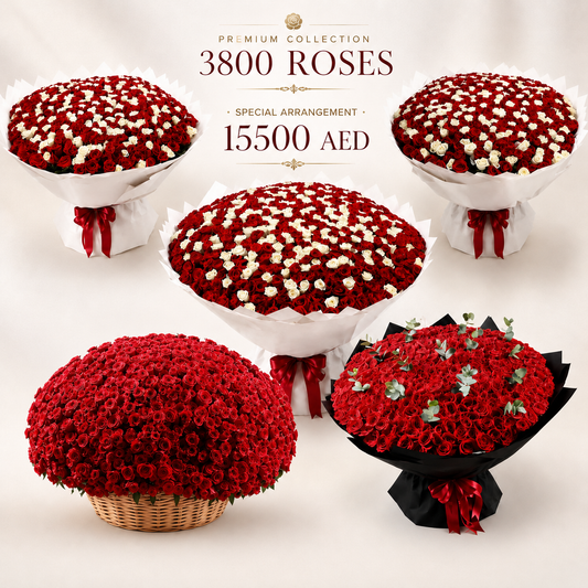 Mega bundle 3800 Roses