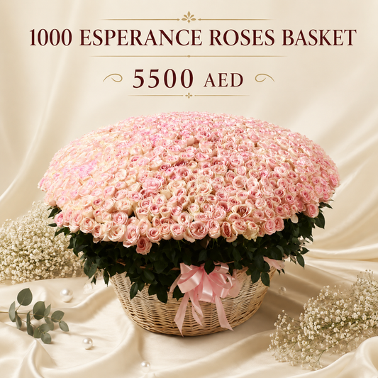 Mega Esperance Basket