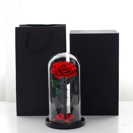 SINGLE STEM 20X40CM FOREVER ROSE