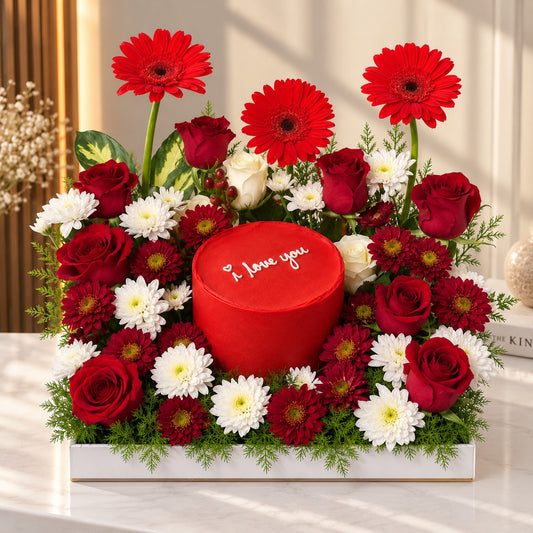 Mystic Special Gift Set